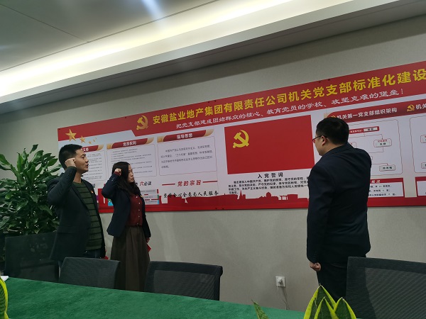 安徽鹽業(yè)地產(chǎn)集團(tuán)機(jī)關(guān)第一黨支部開展“佩黨徽、誦誓詞、贈(zèng)黨章、上黨課”黨員教育活動(dòng)