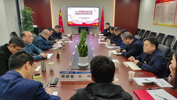 安徽鹽業(yè)地產(chǎn)集團(tuán)公司黨委召開2020年度民主生活會前征求意見座談會