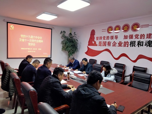 徽鹽地產公司總會計師楊蔚峰到泗縣項目公司宣講十九屆六中全會及省十一次黨代會精神